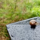 오토타운 이미지