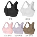 앞지퍼 스포츠브라 하이서포트 헬스 런닝 빅사이즈 미니마이저 후기