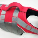 댕댕이라이프 이미지