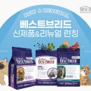 진베스트 이미지