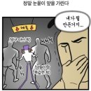대륙탁구 | 2026년 상반기 기록