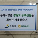 산채골 티스토리