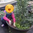 선경농장 이미지