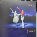 장선희 발레단 이미지