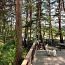 파머스하우스 | 강원도 반려견 동반 "글램독-양양점", 양양 수제햄버거 맛집 "파머스 키친"