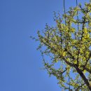 진도세탁소 | 언제나 세상을 재밌어하는 건강한 할머니 되기