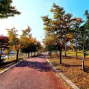 수원-1390 이미지