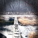 [26 . 2 . 22/일] 달이 머물다 간 자리…겨울 월류봉둘레길 이미지