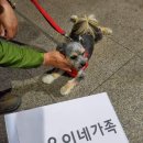 위드트레블 이미지