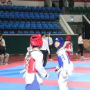 엘리트화랑태권도장 이미지