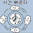 가족오락관(본점) | 난자채취하고 회복하는 일상🍇