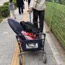 씨유 반포대로점 | 반포한강공원 피크닉 돗자리 텐트 대여 낭만소풍피크닉