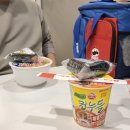 개인 (신정훈) | [16] 허투양성 유방암 TCHP 항암 3차 후기