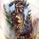 자연와송