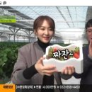 기남농장 이미지