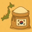 일본 한국쌀 수입 쌀값 폭등 이유