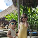 푸푸(POOPOO) 이미지