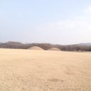 첨성대한의원 이미지