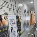 대학로메리힐산부인과의원 | (혜화 산부인과 추천) 대학로 메리힐 산부인과