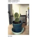 고소한식물원