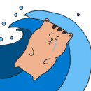 박수식당 로스구이