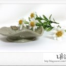 하나래화장품