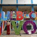 보스수산