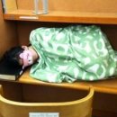 남지도서관 이미지