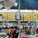 모란신발