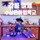 내곡동476 | 강릉 가볼만한곳 실내 마술쇼 수상한 마법학교 시즌2