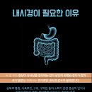 서울태내과 이미지