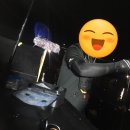 견내량민박 | 무늬오징어 낚시 / 거제 빅원 피싱”무늬오징어 조항~HIT(통영, 거제)[2018.08.21 04시 출항] “채비”