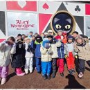 강한아이태권도장 이미지