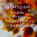 1(금)9/1홍제역 독립문역불광시장 방 마루청소목욕3시간 이미지