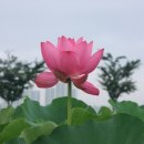 오르리 이미지