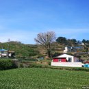 가의도펜션(민박) 이미지