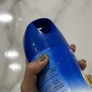 개미네 | 개미살충제 집안 개미 걱정 끝낸 현실 후기