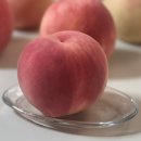 이례농장 이미지