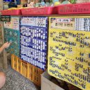 바른뽑기생활 이미지