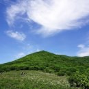 석정자원 이미지