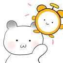 앤도로시 샌드위치 네이버블로그