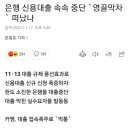 은행 신용대출 속속 중단 `영끌막차` 떠났나 이미지