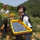 쇼핑브릿지06