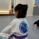 청룡태권도장 이미지