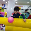 성룡태권도 이미지