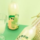 농업회사법인 곡성멜론주식회사 이미지