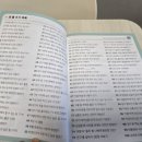 천보초 이미지