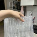 데일리팜 | 씨없는 데일리팜 흑수박 과일 구매 후기