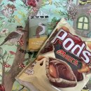 GR(홍천군)-[무궁화로]-하-21 | 인생 첫 보드🏂를 곁들인 .. 그리고 성공해버린 약게팅••etc