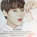 원클린 이미지